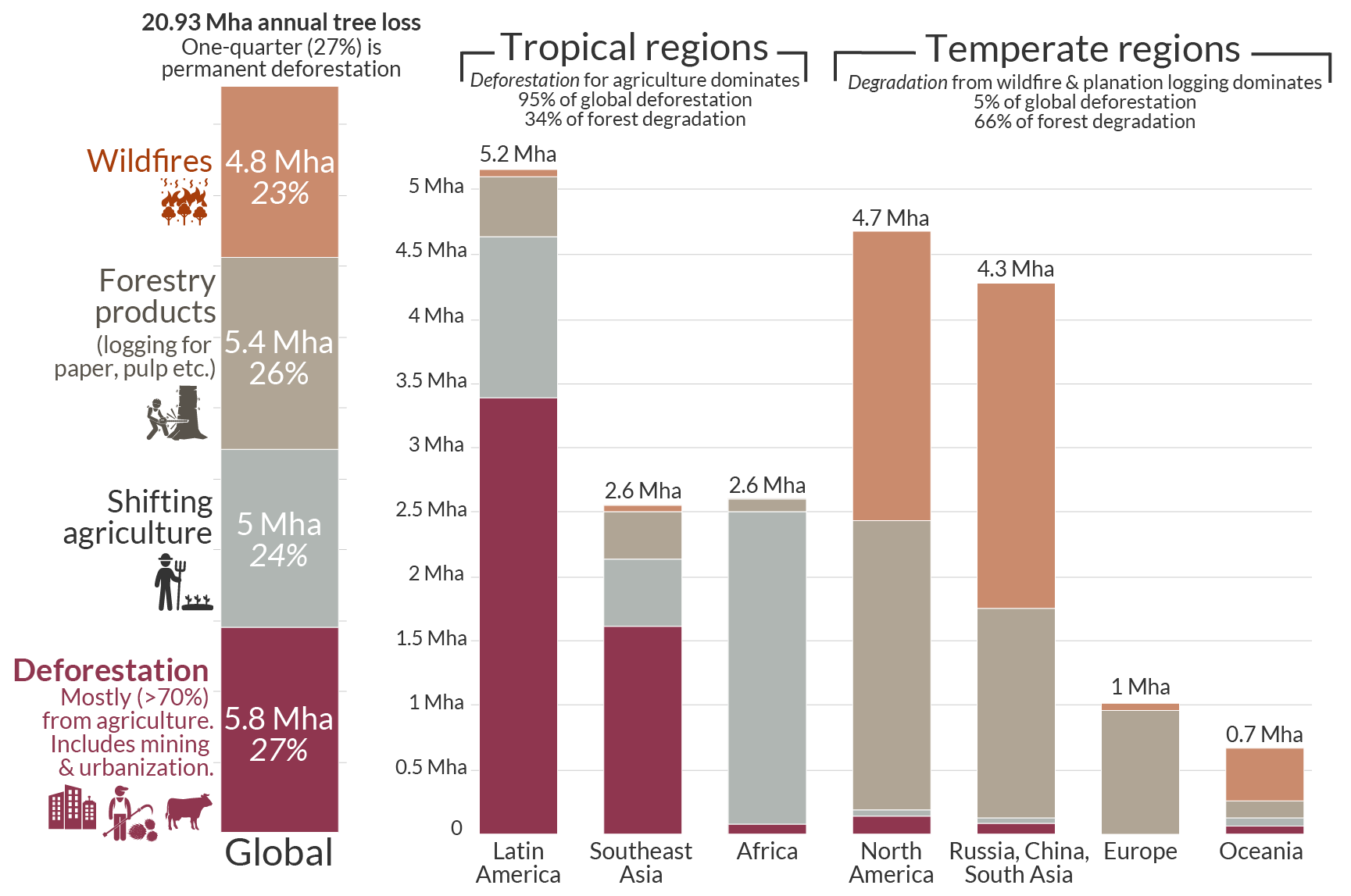 Global Forest Loss Impact