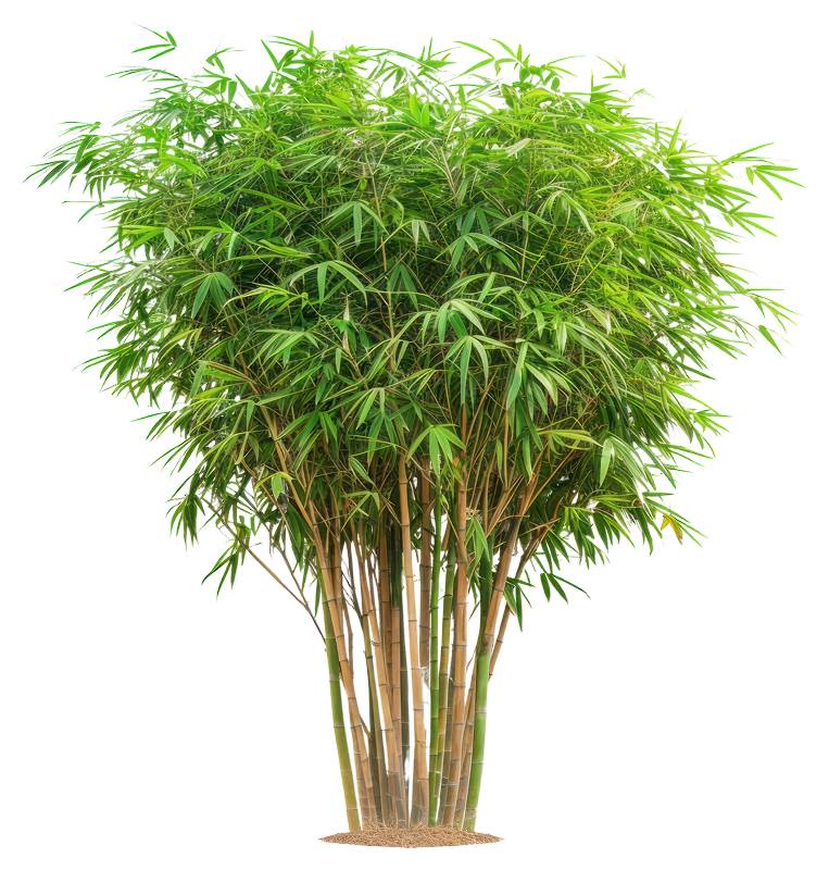 Orgatek content image