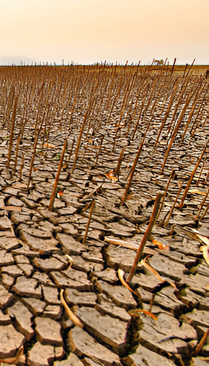 Hidden costs of land degradation