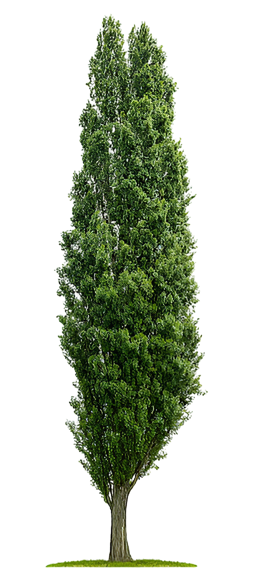 Orgatek content image